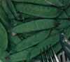 v_peassnowpea.jpg